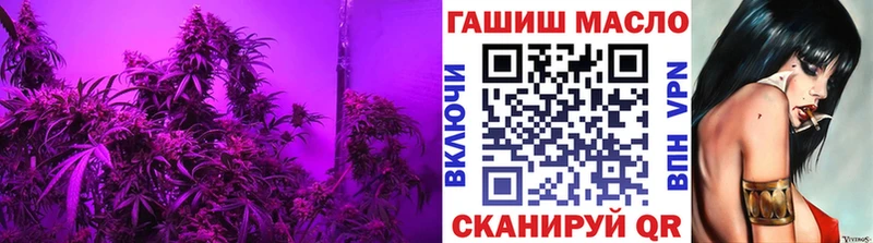 ТГК концентрат Купить Болотное